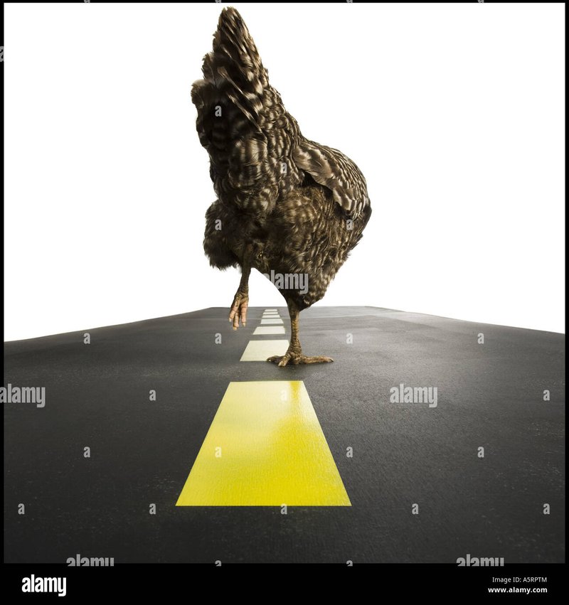 Ghid pentru chicken road 2 original